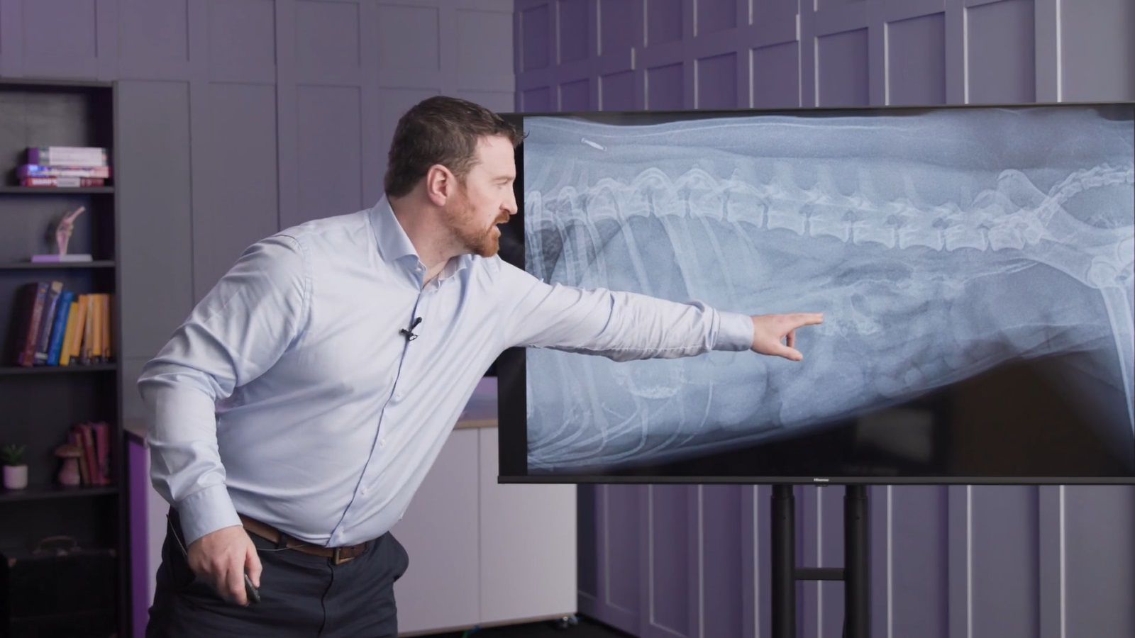 ELEARNING.VET Memberships Veterinary Professionals, UK